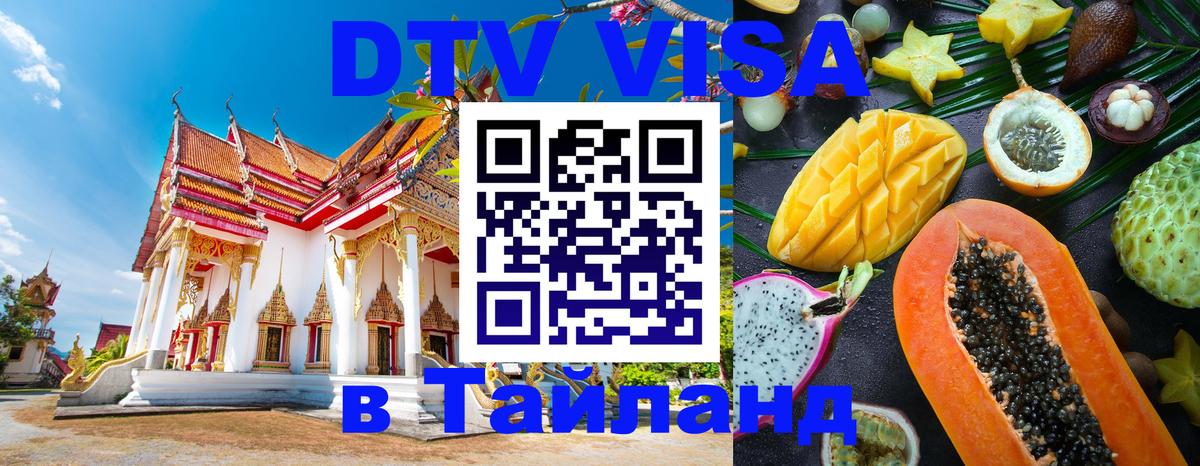 Сколько стоит DTV виза — актуальные цены, оформление даже без документов - Казань 